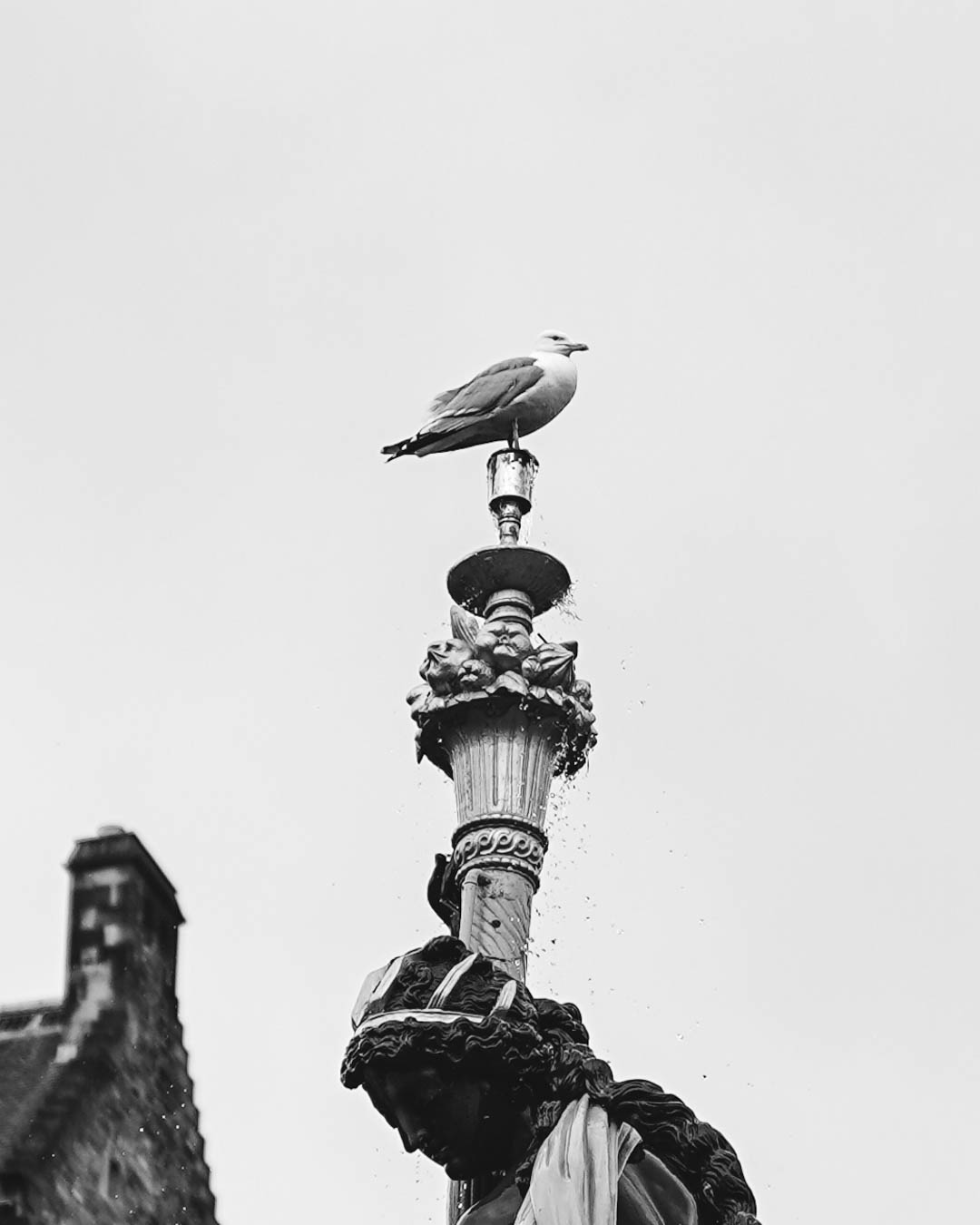 20260519-DSC05710
